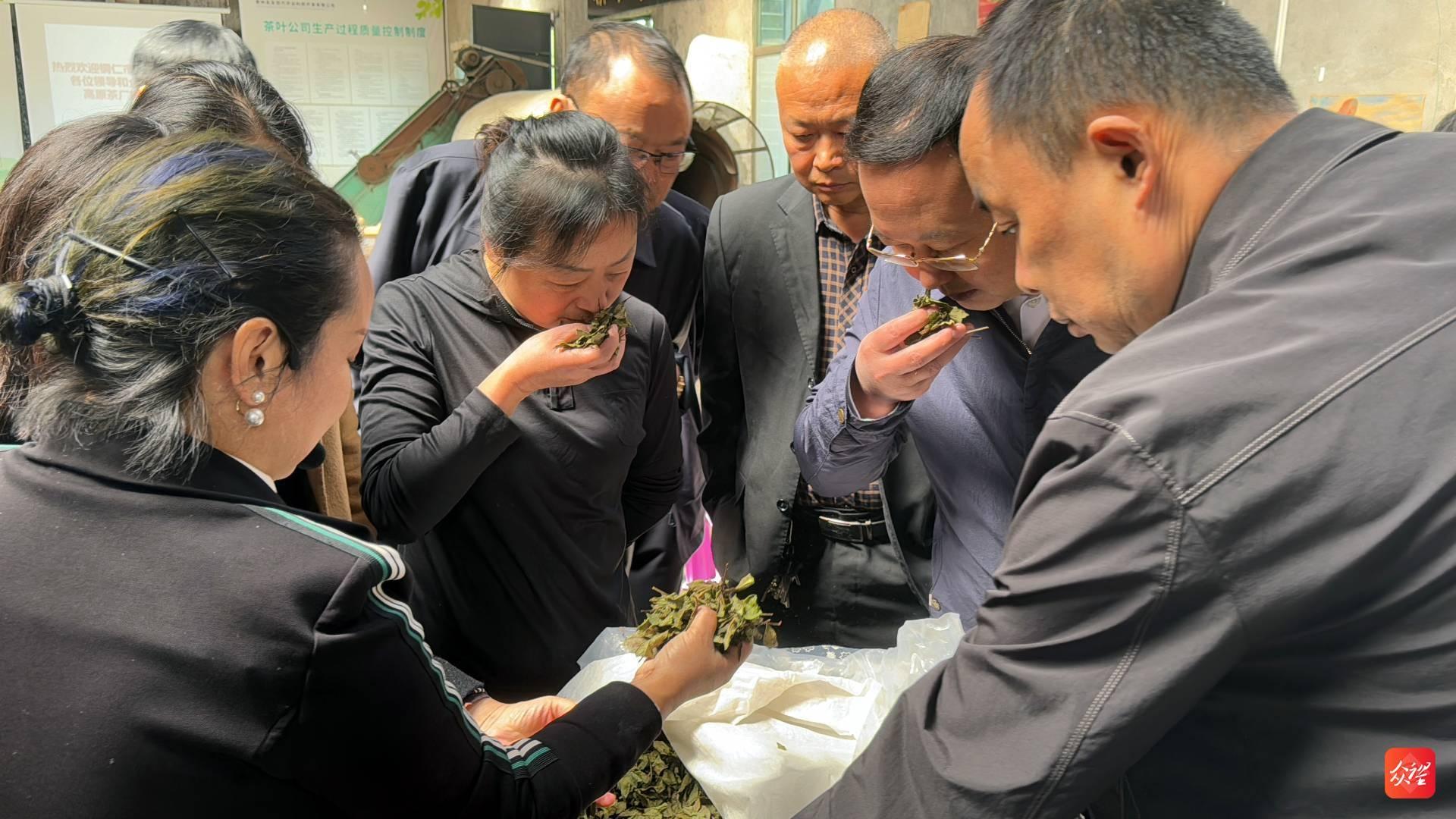 铜仁市万企兴万村行动交流会举行，村企结对共建助力乡村振兴  第2张