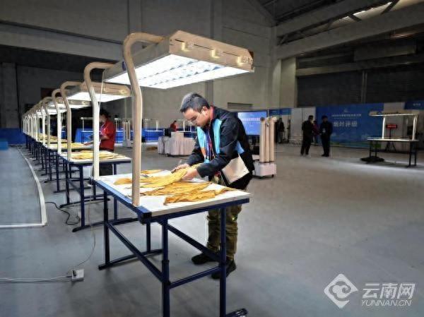 云南职业技能大赛落幕，文山选手杨丽珍勇夺烟叶评级金牌  第1张