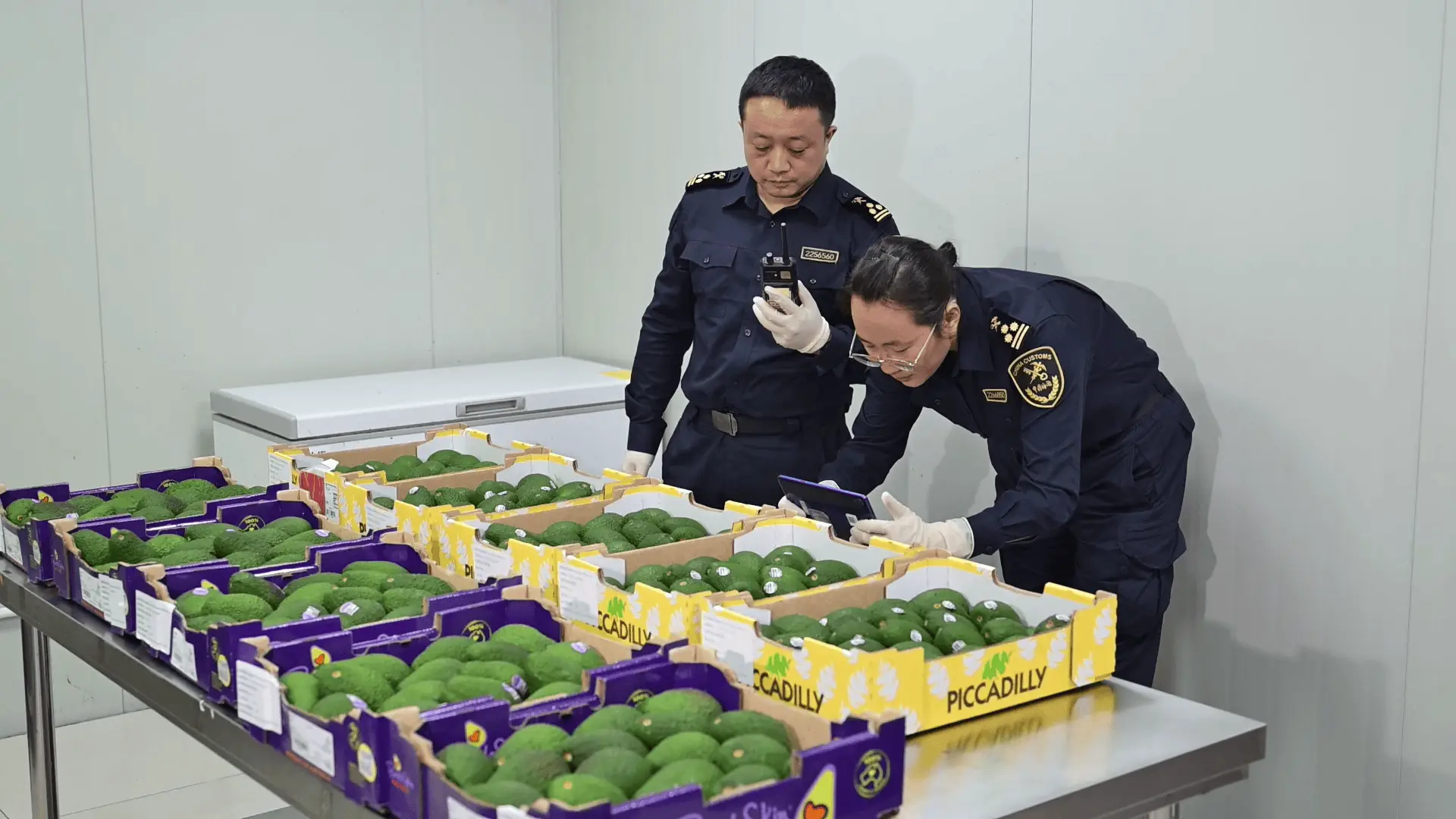 800 千克澳大利亚牛油果，凭什么能拿到进博会的敲门砖？  第2张