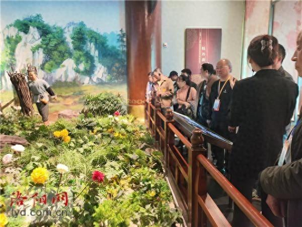 20 余人实地考察，洛阳特色消费场景为何如此受欢迎？