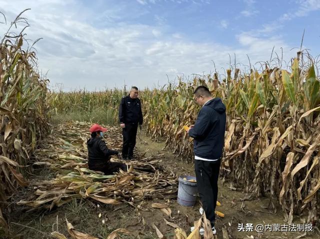 达拉特旗司法局王爱召司法所：培养法律明白人，提升基层治理法治化水平  第3张
