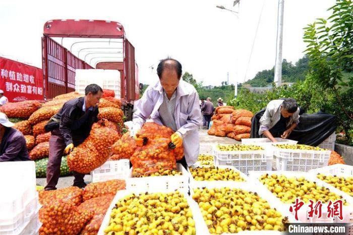 贵州六盘水：从江南煤都到生态绿都的华丽转身  第3张