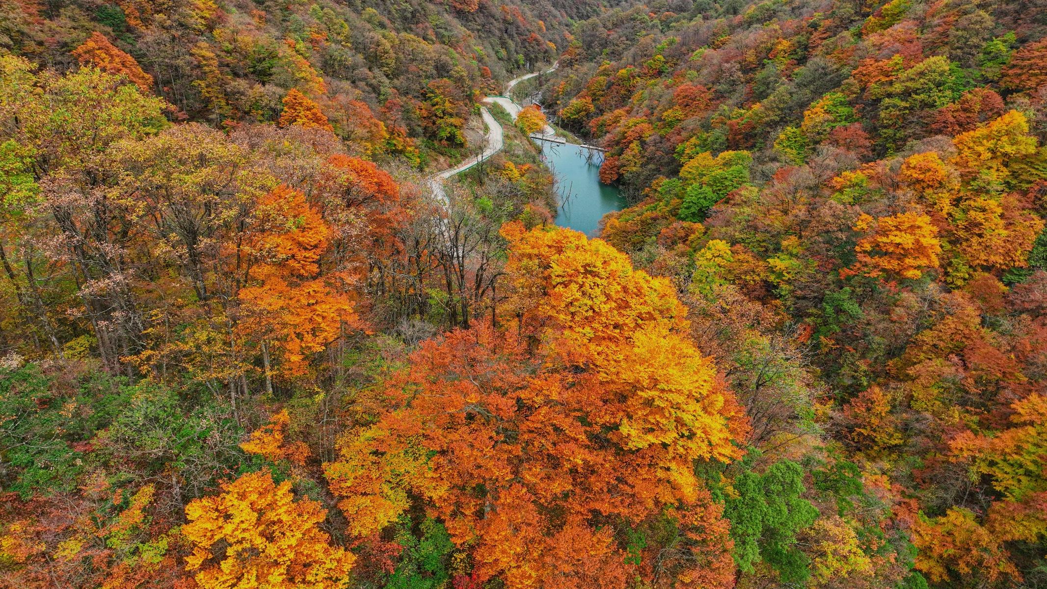 三省市政府助力文旅市场大跨步迈进，西岭雪山度假酒店全新升级  第4张
