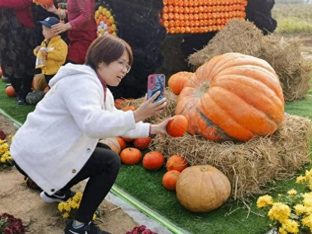 平谷大兴庄镇菊花美食文化季盛大开幕，全国最大食用菊花生产基地等你来  第1张