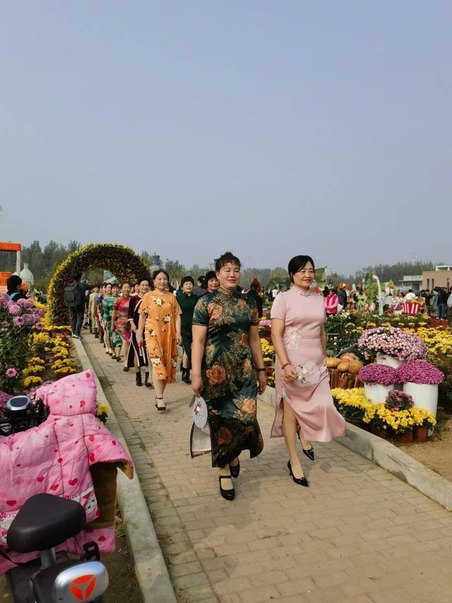 平谷大兴庄镇菊花美食文化季盛大开幕，全国最大食用菊花生产基地等你来  第3张