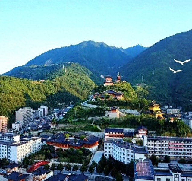 镇安：严守生态底线，如何让绿水青山变金山银山？  第1张