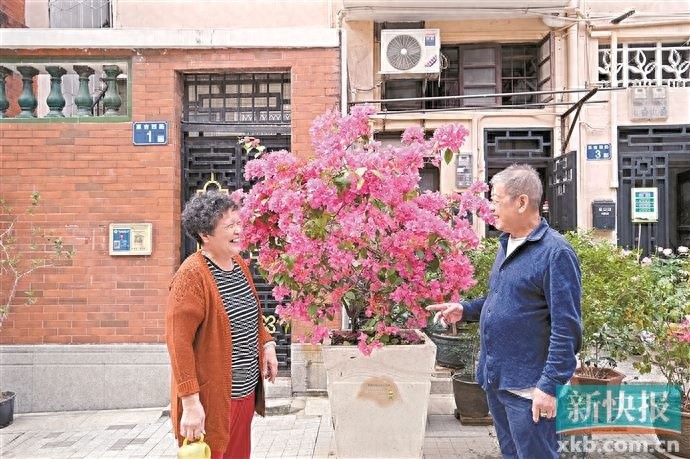 广州越秀区旧南海县社区：居民齐参与，打造绿色乐活家园