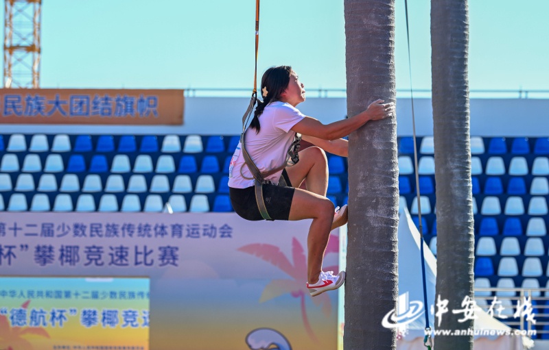 惊!攀椰竞速首入全国赛,男女组高度竟不同 第3张 惊!攀椰竞速首入全国赛,男女组高度竟不同 第3张