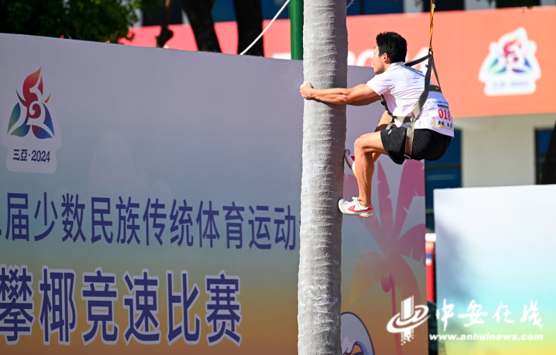 惊!攀椰竞速首入全国赛,男女组高度竟不同 第5张 惊!攀椰竞速首入全国赛,男女组高度竟不同 第5张