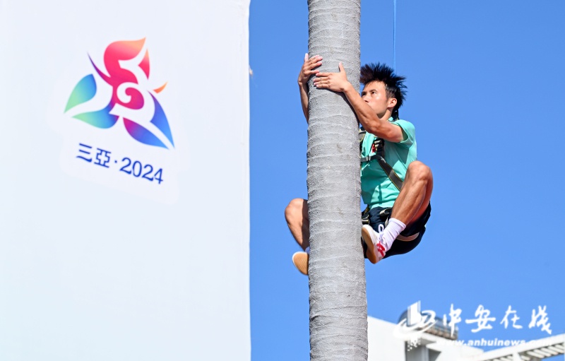 惊!攀椰竞速首入全国赛,男女组高度竟不同 第6张 惊!攀椰竞速首入全国赛,男女组高度竟不同 第6张