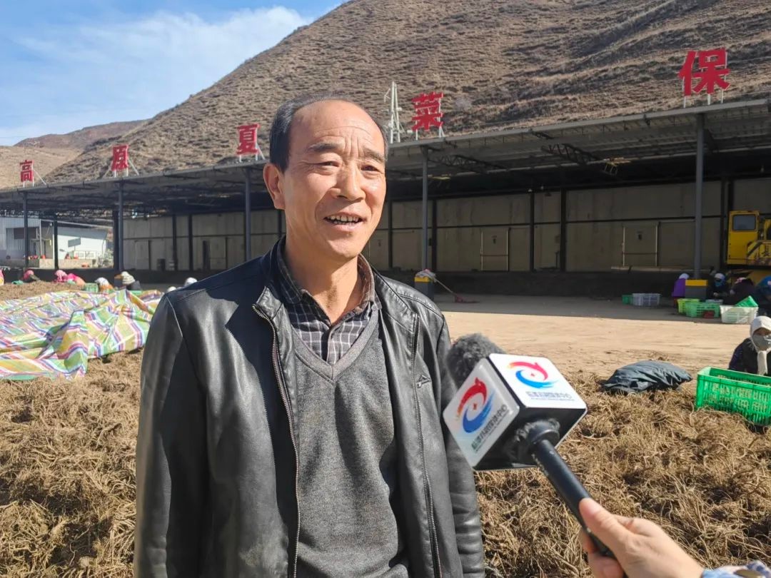 临潭县当归丰收！机械与人共忙，百元日薪有何吸引力？  第5张