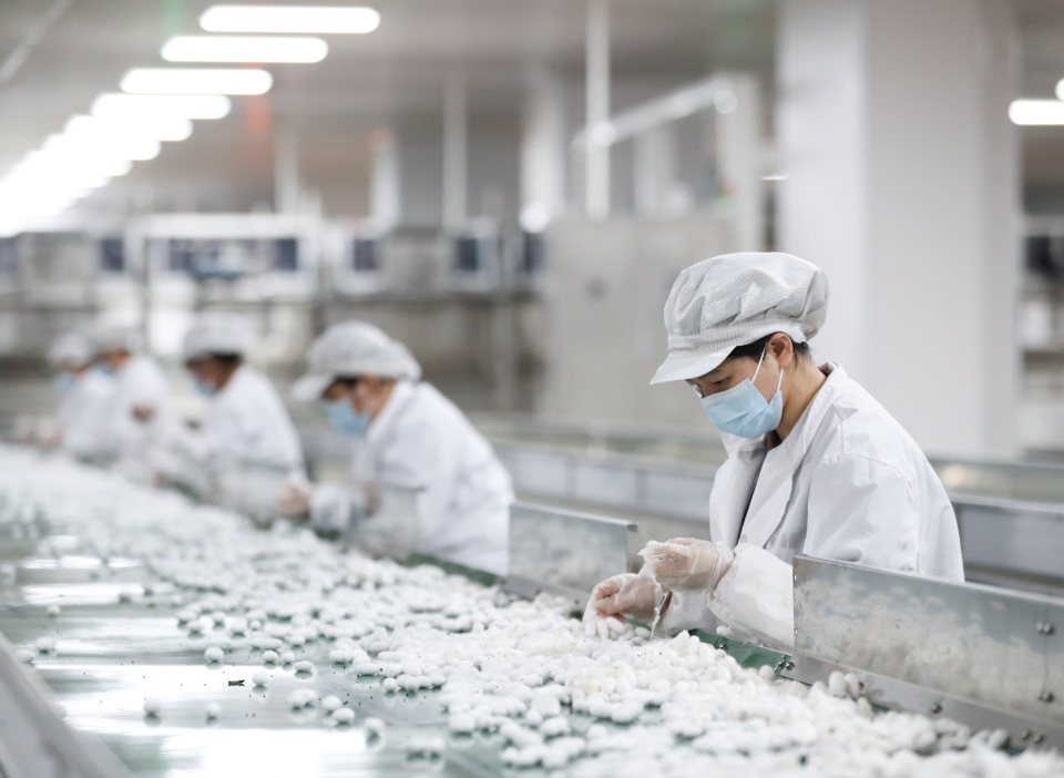 惊！湖南传统蚕桑产业靠智能化焕发新生？  第6张