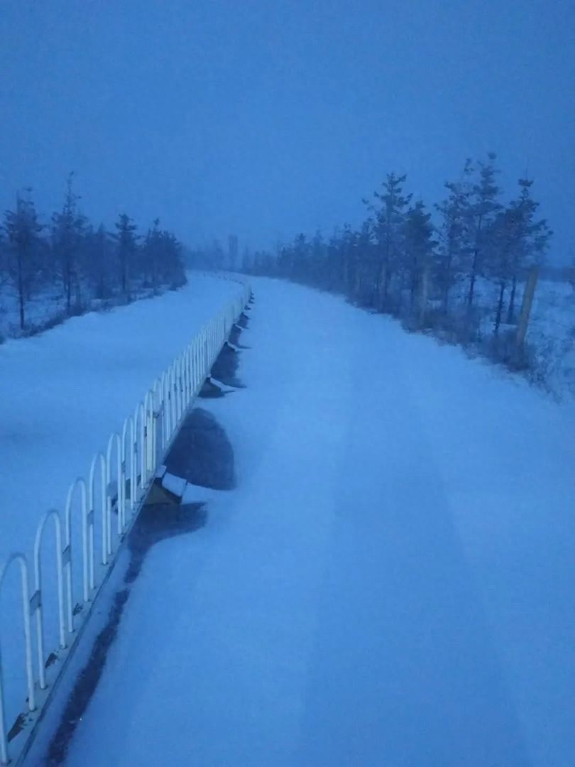 惊！北京下雪了，高海拔积雪2厘米，寒潮预警需注意  第1张