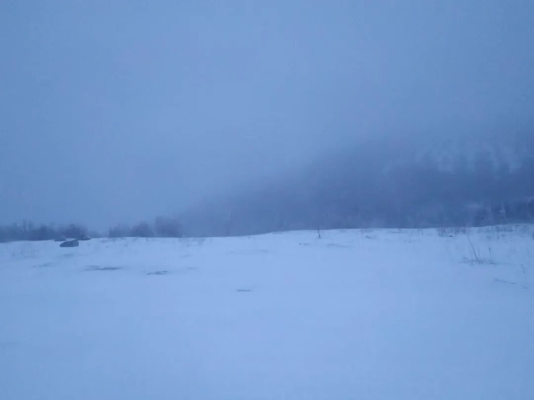 惊！北京下雪了，高海拔积雪2厘米，寒潮预警需注意  第2张