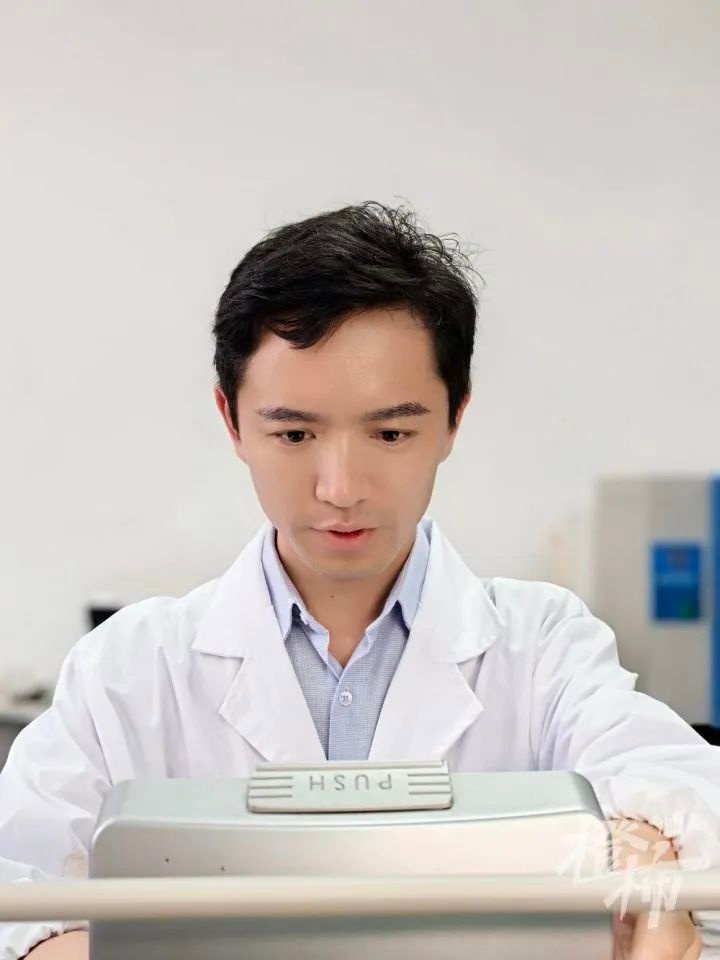 惊！浙江女子家苹果长白蘑菇成果菌王，还获科学奖  第8张