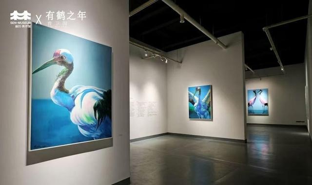 惊！知名青年艺术家曹卫国作品展成都开幕，近十年专注丹顶鹤与桃花创作  第4张