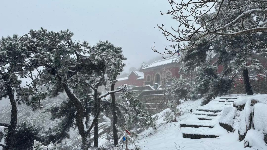 泰安市气象台发布：泰山迎暴雪，景区暂停开放云赏雪景  第1张