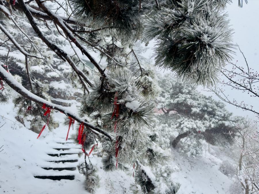 泰安市气象台发布：泰山迎暴雪，景区暂停开放云赏雪景  第12张
