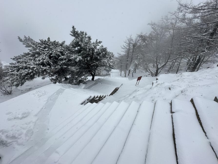 泰安市气象台发布：泰山迎暴雪，景区暂停开放云赏雪景  第13张