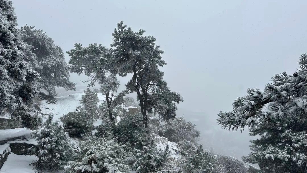 泰安市气象台发布：泰山迎暴雪，景区暂停开放云赏雪景  第14张