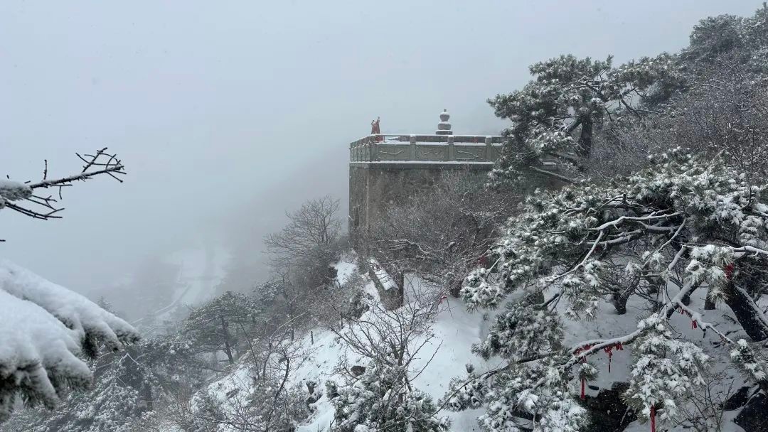泰安市气象台发布：泰山迎暴雪，景区暂停开放云赏雪景  第2张