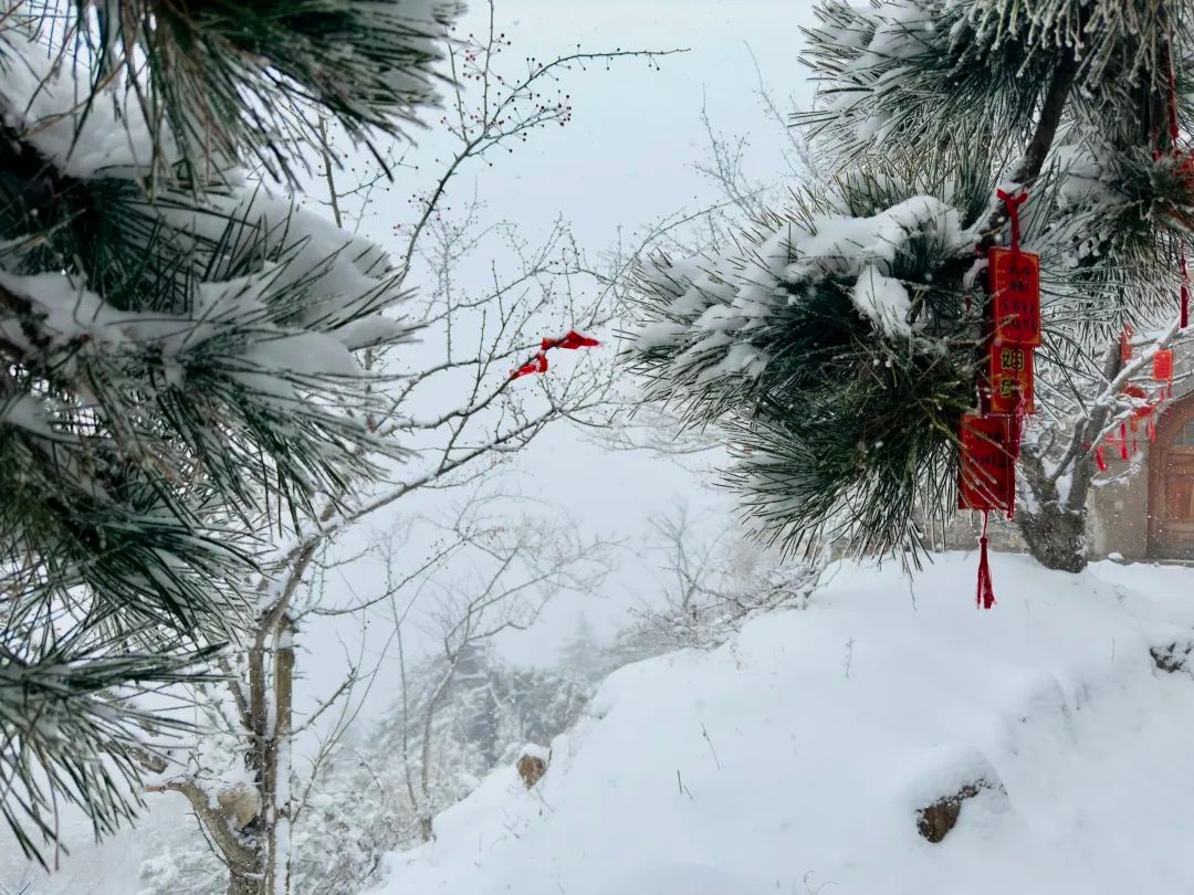 泰安市气象台发布：泰山迎暴雪，景区暂停开放云赏雪景  第3张