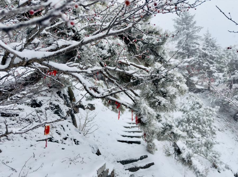 泰安市气象台发布：泰山迎暴雪，景区暂停开放云赏雪景  第5张