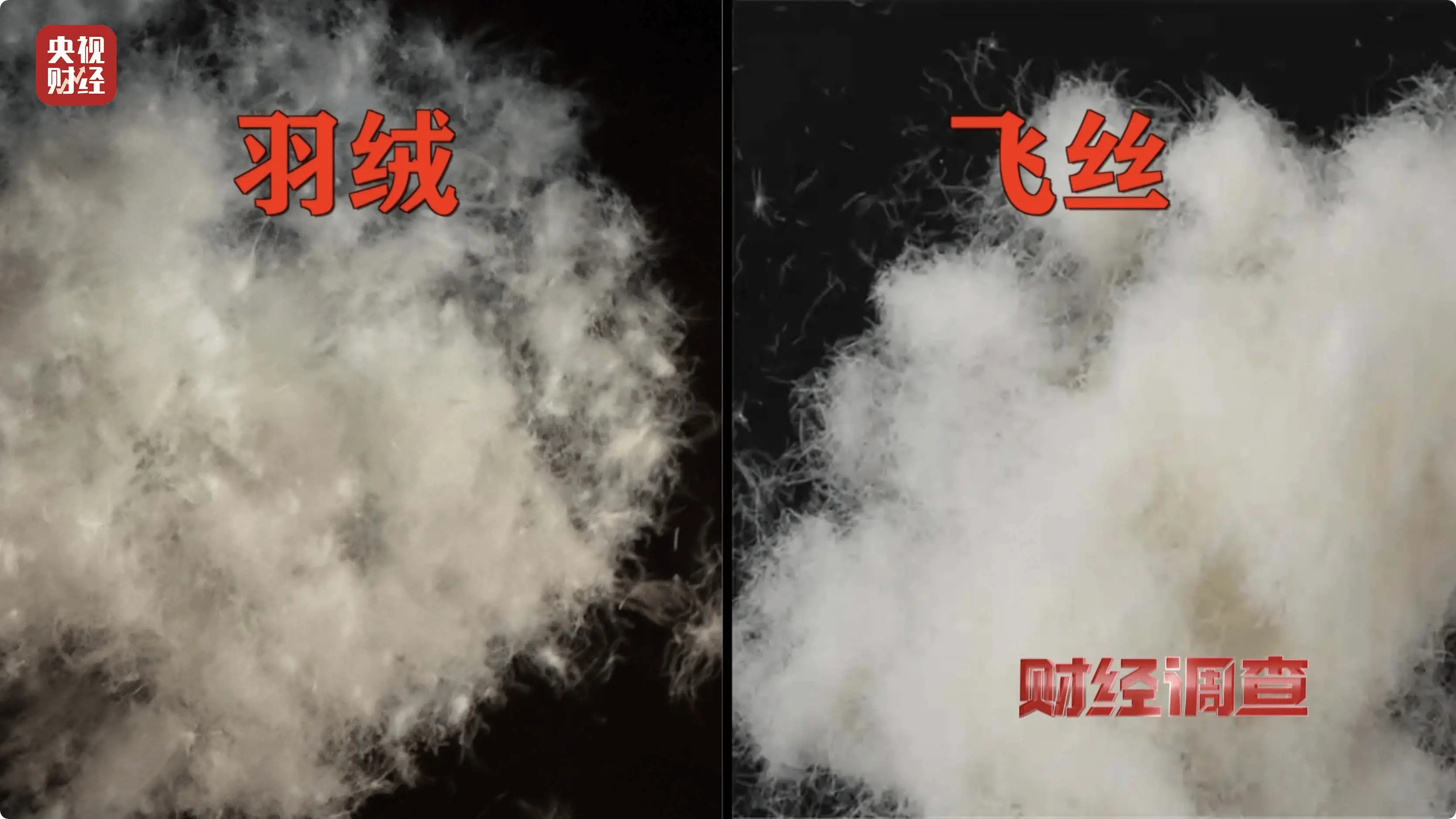 惊！江西九江多企业伪劣羽绒服流入市场，后续如何？  第1张