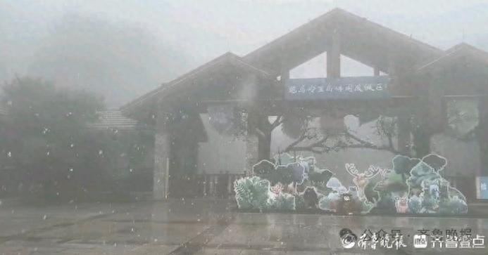 惊！济南跑马岭、泰山已降雪，山东多地是否跟进？