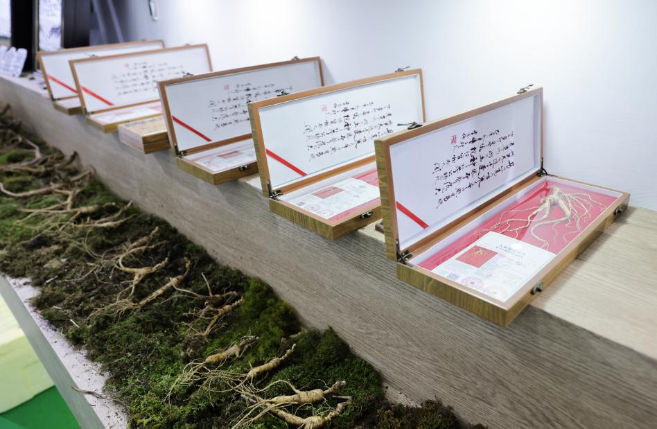 惊！吉林长白山人参主题展馆露脸广西南宁，300多种人参名优产品齐亮相  第2张