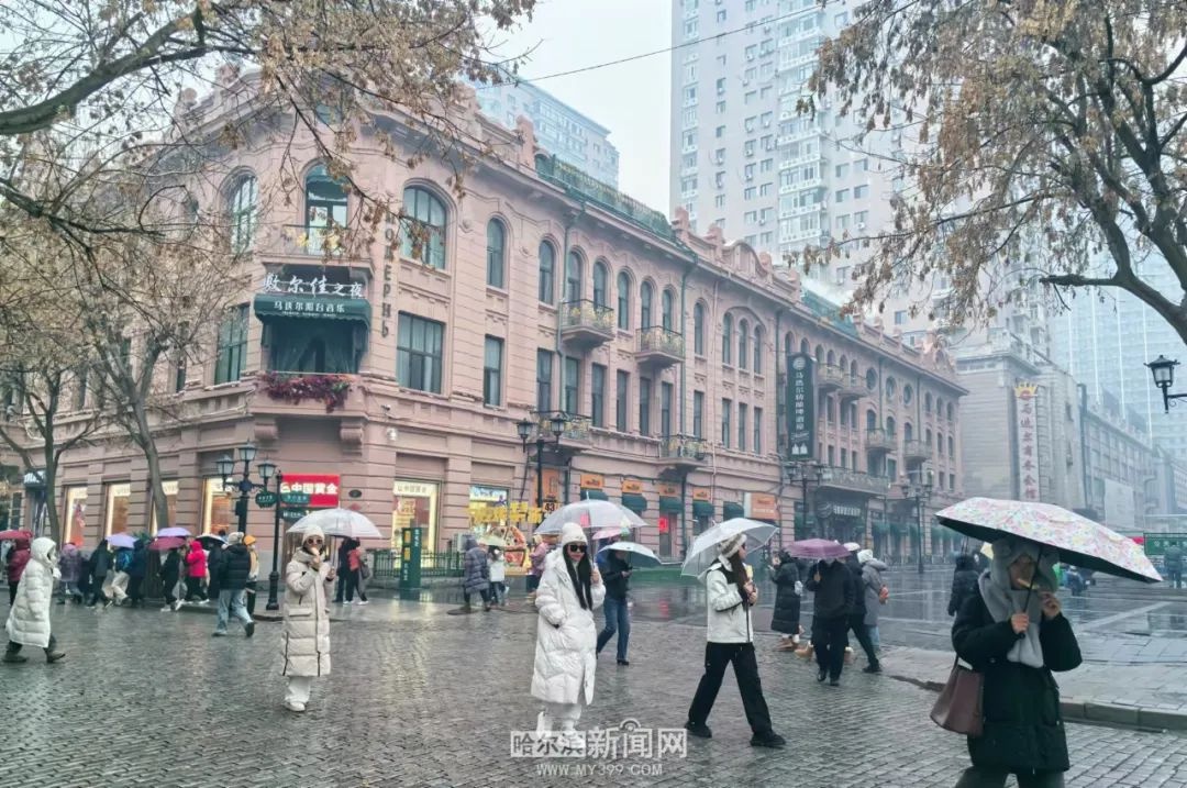 哈尔滨连发多种预警！大风、寒潮、道路冰雪来袭，你准备好了吗？  第3张