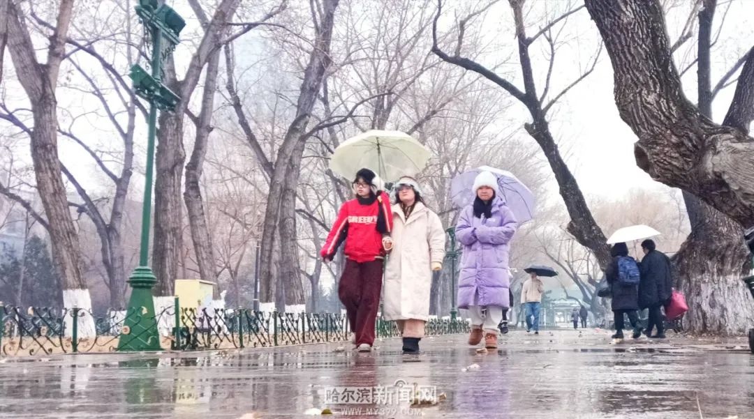 哈尔滨连发多种预警！大风、寒潮、道路冰雪来袭，你准备好了吗？  第4张