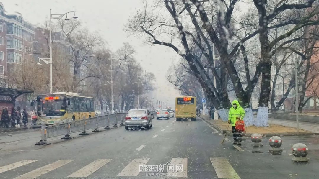 哈尔滨连发多种预警！大风、寒潮、道路冰雪来袭，你准备好了吗？  第8张
