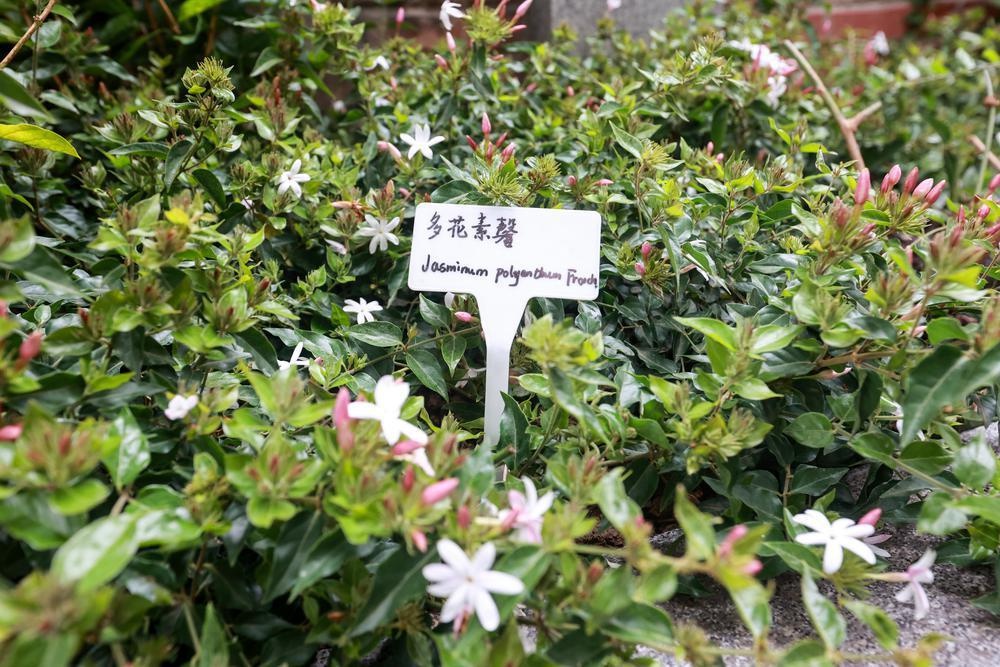 惊！华南农大高伟教授现身广州社区，竟为这事  第3张