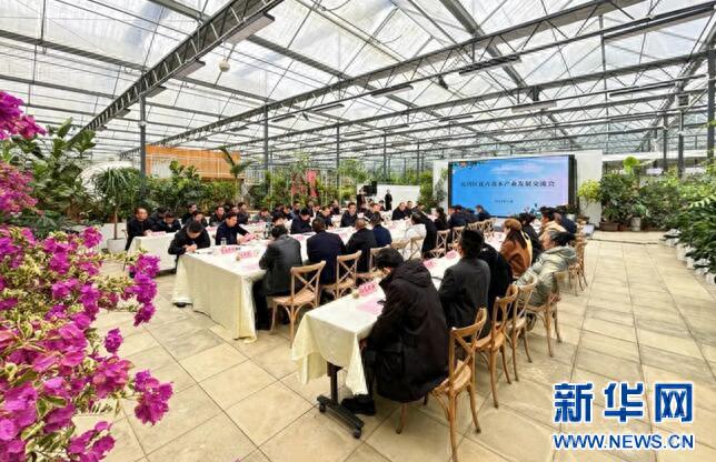 十堰张湾花经济崛起：花卉供不应求背后的秘密