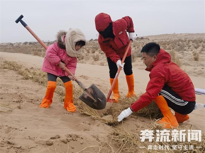惊！全国多地爱心人士在民勤沙漠种下百株梭梭树，背后故事是啥？