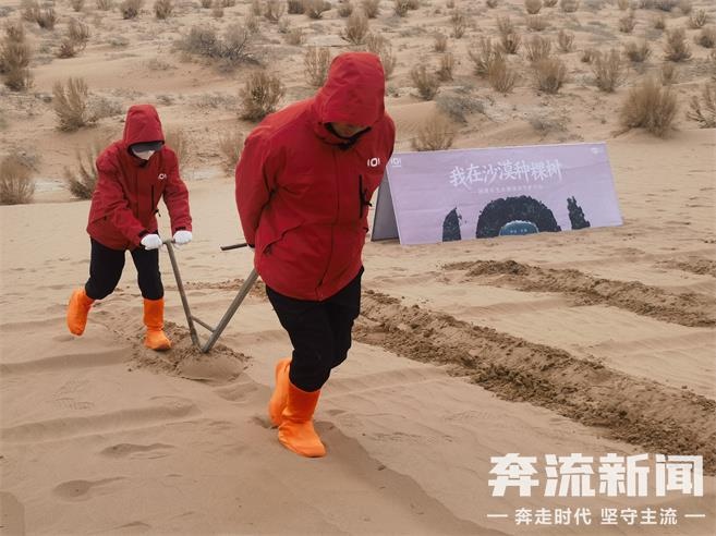 惊！全国多地爱心人士在民勤沙漠种下百株梭梭树，背后故事是啥？  第2张
