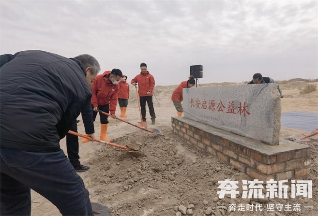 惊！全国多地爱心人士在民勤沙漠种下百株梭梭树，背后故事是啥？  第3张