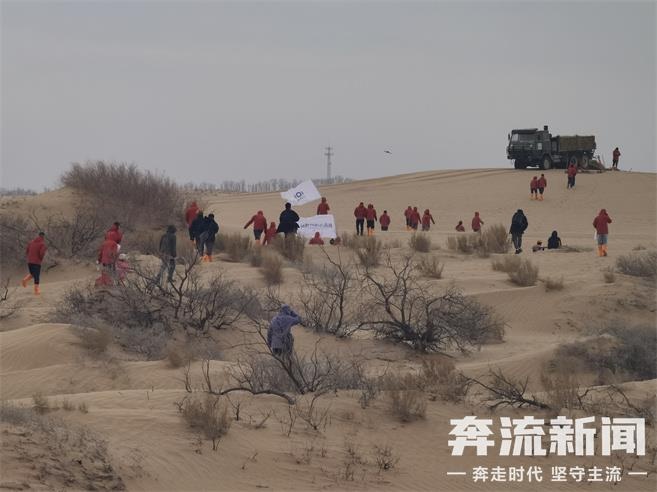 惊！全国多地爱心人士在民勤沙漠种下百株梭梭树，背后故事是啥？  第4张