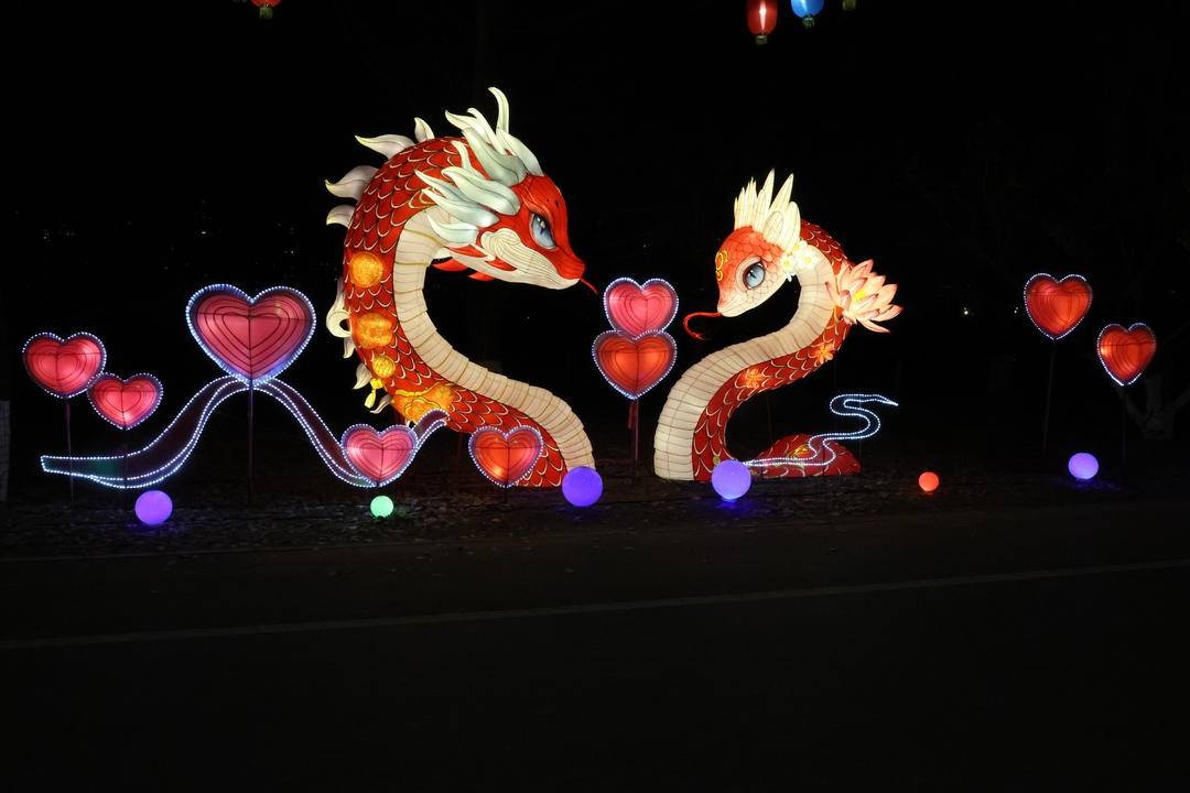 震撼来袭！50余组巨型花灯点亮沈阳，带你体验前所未有的视觉盛宴  第4张