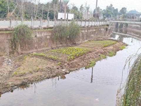 揭秘澄清河的真相：冬季垃圾堆积，夏季恶臭难忍，居民苦不堪言