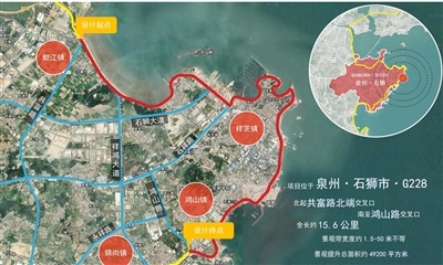 石狮海岸带华丽蜕变：沿海大通道景观提升工程启动，打造全新防风绿化带  第1张