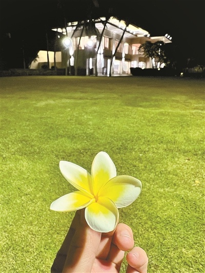 惊险！刑警大姐麦当劳智擒小偷，姑娘险些丢失重要物品  第1张
