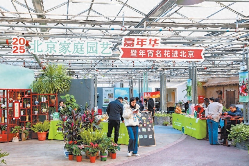 2025北京家庭园艺嘉年华：兰花盛宴，市民与专业师生共赏花中君子
