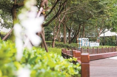 揭秘虹桥南丰城：上海首座商业体内生境花园，长宁区如何拼出低空经济新赛道？  第1张