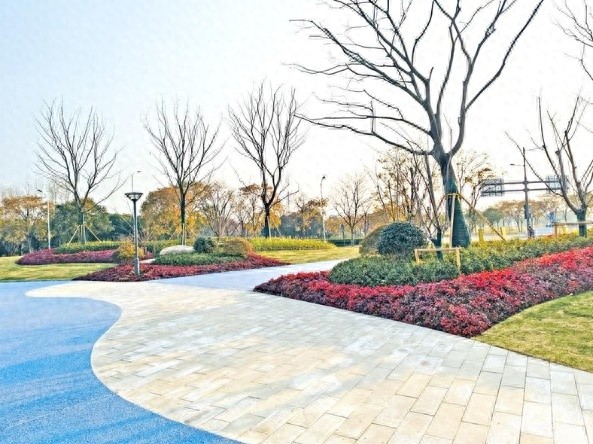 从荒地到绿洲：菱湖大桥匝道下惊现市民休闲新天地
