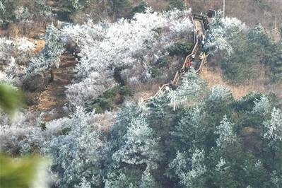 冬至初雪浪漫来袭，衢州雾凇冰瀑惊艳上线，冬日限定美景等你来拍  第1张