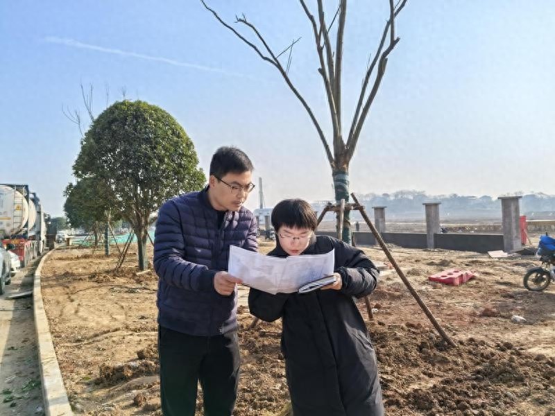 湖口县城山镇如何通过优化营商环境激活经济发展？揭秘千企万户大走访的惊人成效