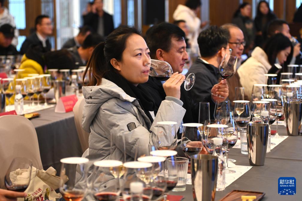 从荒地到葡萄绿洲：宁夏如何用葡萄酒产业创造400亿综合产值？  第2张