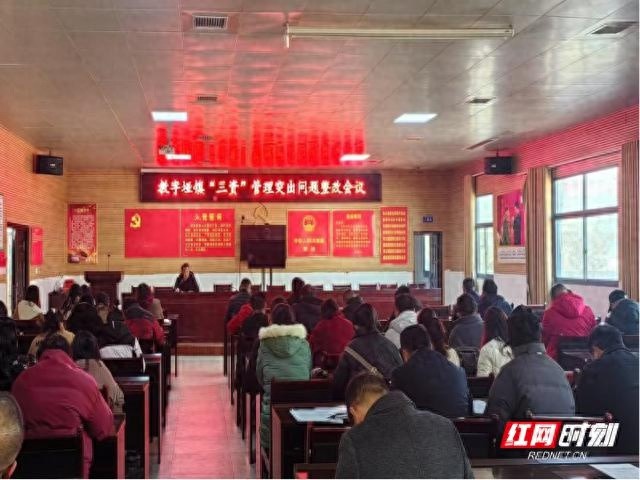 张家界永定区教字垭镇如何通过三资管理整改方案，助力农村经济发展？